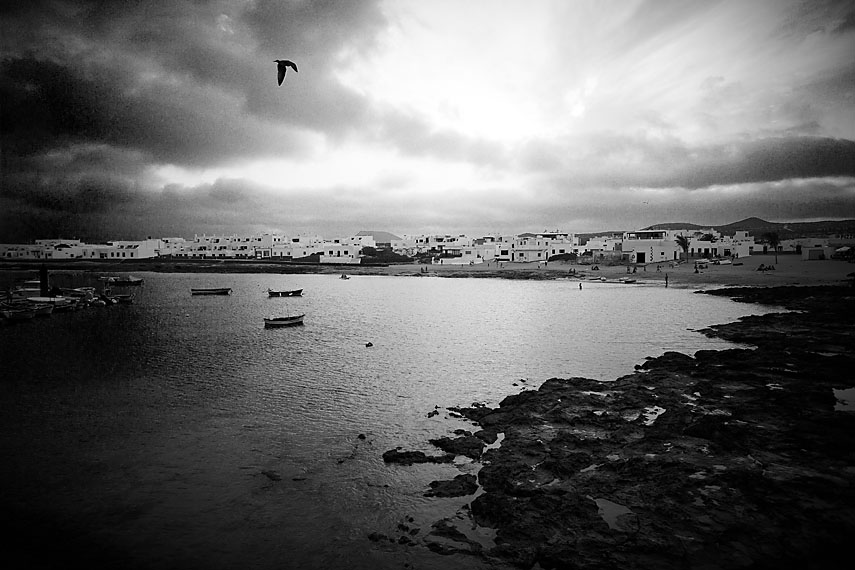 Kanarski_blog-179