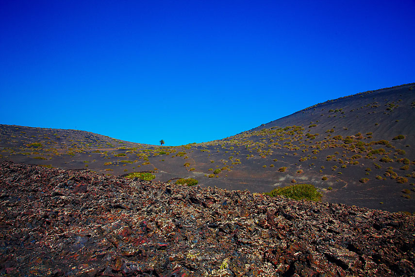 Kanarski_blog-204