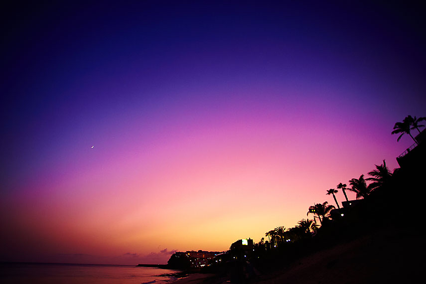 Kanarski_blog-65