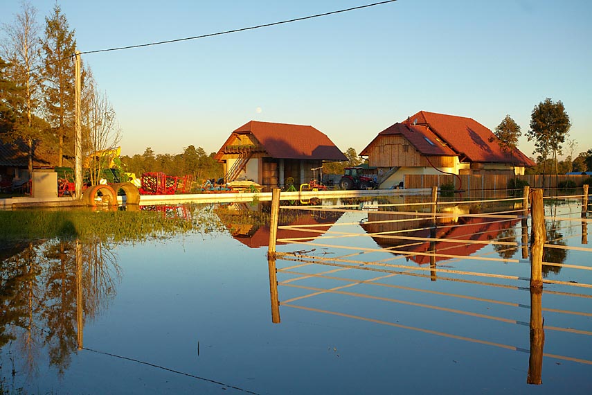 Poplava_barje_fotografska_zgodba-28