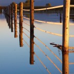 Poplava_fotografska_zgodba-28_featured